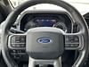 18 thumbnail image of  2021 Ford F-150  