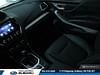 15 thumbnail image of  2022 Subaru Forester Limited  - Leather Seats