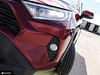 9 thumbnail image of  2020 Toyota RAV4 XLE  - Sunroof -  Power Liftgate